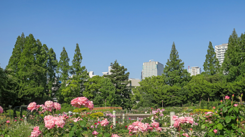 靭公園